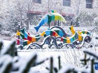吉林多地迎来降温降雪
