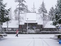 吉林多地迎来降温降雪
