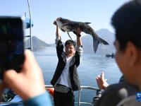 浙江：千岛湖巨网捕鱼迎丰收
