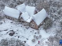 寒潮影响 多地迎来降雪
