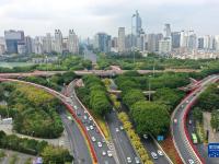 南宁：鲜花扮靓城市
