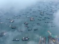 渔船归港避寒潮
