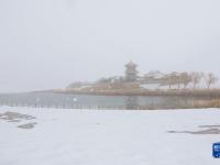 雪落敦煌

