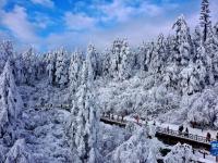 银装素裹瓦屋山
