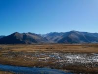 拉萨唐嘎湿地：珍稀鸟类的冬季乐园

