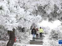 雪后南岳衡山
