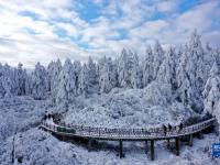 银装素裹瓦屋山
