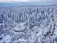 银装素裹瓦屋山
