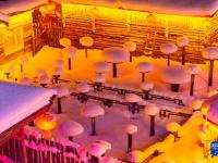 浪漫雪乡引客来
