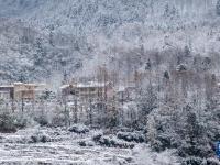 雪润大地
