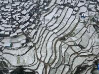雪润大地
