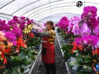 备年货 迎新春
