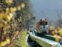 湖南张家界：节后旅游热度不减
