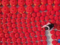 河南温县：赶制红灯笼迎新春
