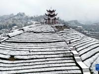 雪润大地
