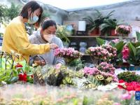 备年货 迎新春
