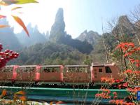 湖南张家界：节后旅游热度不减
