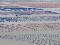 福建连江：“海上菜园”耕作忙
