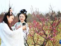 西安：梅花照眼早春时
