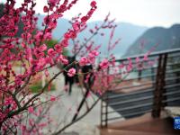 春到峡江
