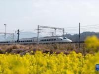 花香伴列车
