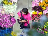 云南鲜花香飘曼谷
