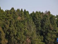 四川仁寿：生态打底 人水共生
