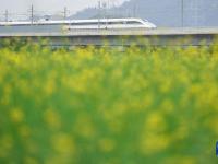 都市田园春色好
