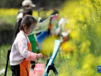 湖南资兴：油菜花田“画春天”
