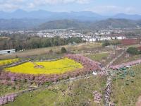 “问花村”赏花游

