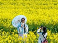 江苏兴化：千垛花海画中游
