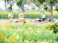 都市田园春色好
