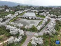 农业公园内赏春光
