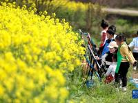 湖南资兴：油菜花田“画春天”
