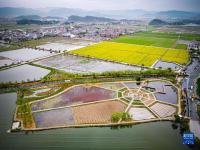 浙江诸暨：农旅融合发展助力乡村共富
