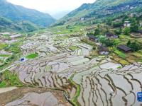 福建尤溪：联合梯田重焕生机
