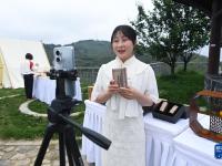 杭州富阳：青年人才助力乡村振兴
