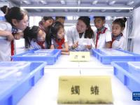 “科普课堂”感受生物多样性
