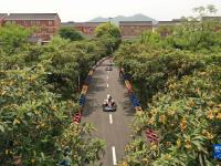 杭州塘栖：农文旅助力乡村游
