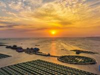 山东荣成：海洋牧场朝霞如画
