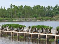 海南东方：推动水环境整治 打造幸福河湖

