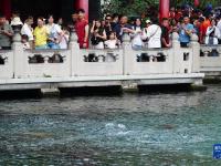 夏日趵突泉：泉水欢涌游人如织
