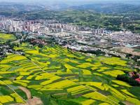甘肃积石山：大地“镶金”扮靓和美乡村
