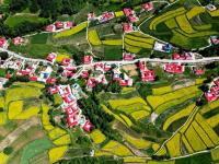 甘肃积石山：大地“镶金”扮靓和美乡村
