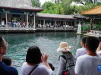 夏日趵突泉：泉水欢涌游人如织
