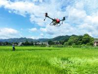 湖南常宁：“空中管护”保丰收
