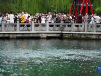 夏日趵突泉：泉水欢涌游人如织
