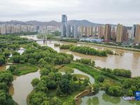 甘肃兰州：银滩湿地美
