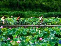 贵州岑巩：人居环境整治 扮靓美丽乡村