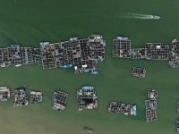 广东饶平：水产养殖谱写现代“海洋牧歌”